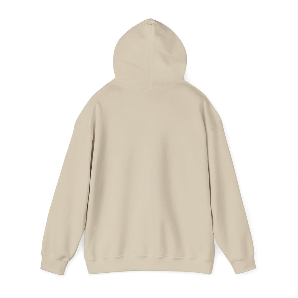 I Could Be Meaner Hoodie — Playful Pink & Blue Graphic Pullover
