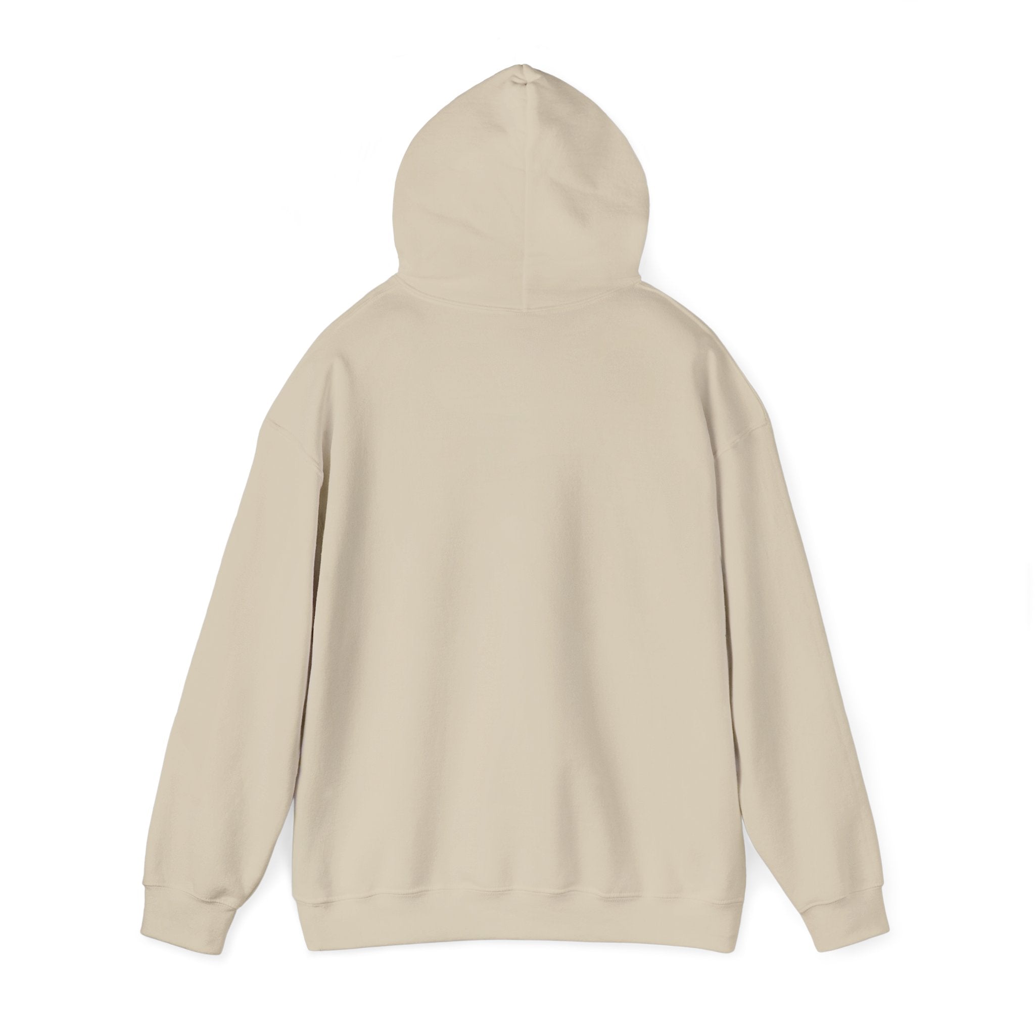 I Could Be Meaner Hoodie — Playful Pink & Blue Graphic Pullover