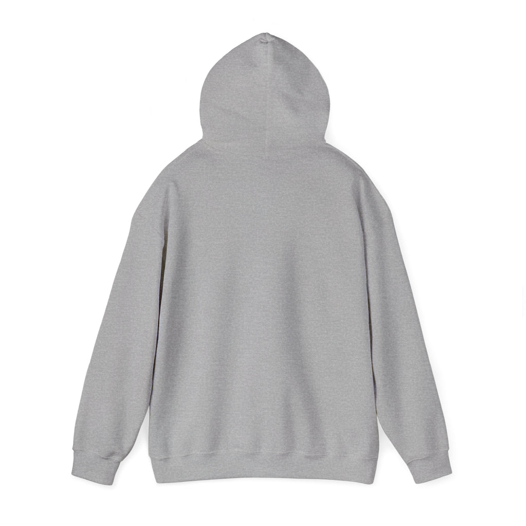 I Could Be Meaner Hoodie — Playful Pink & Blue Graphic Pullover