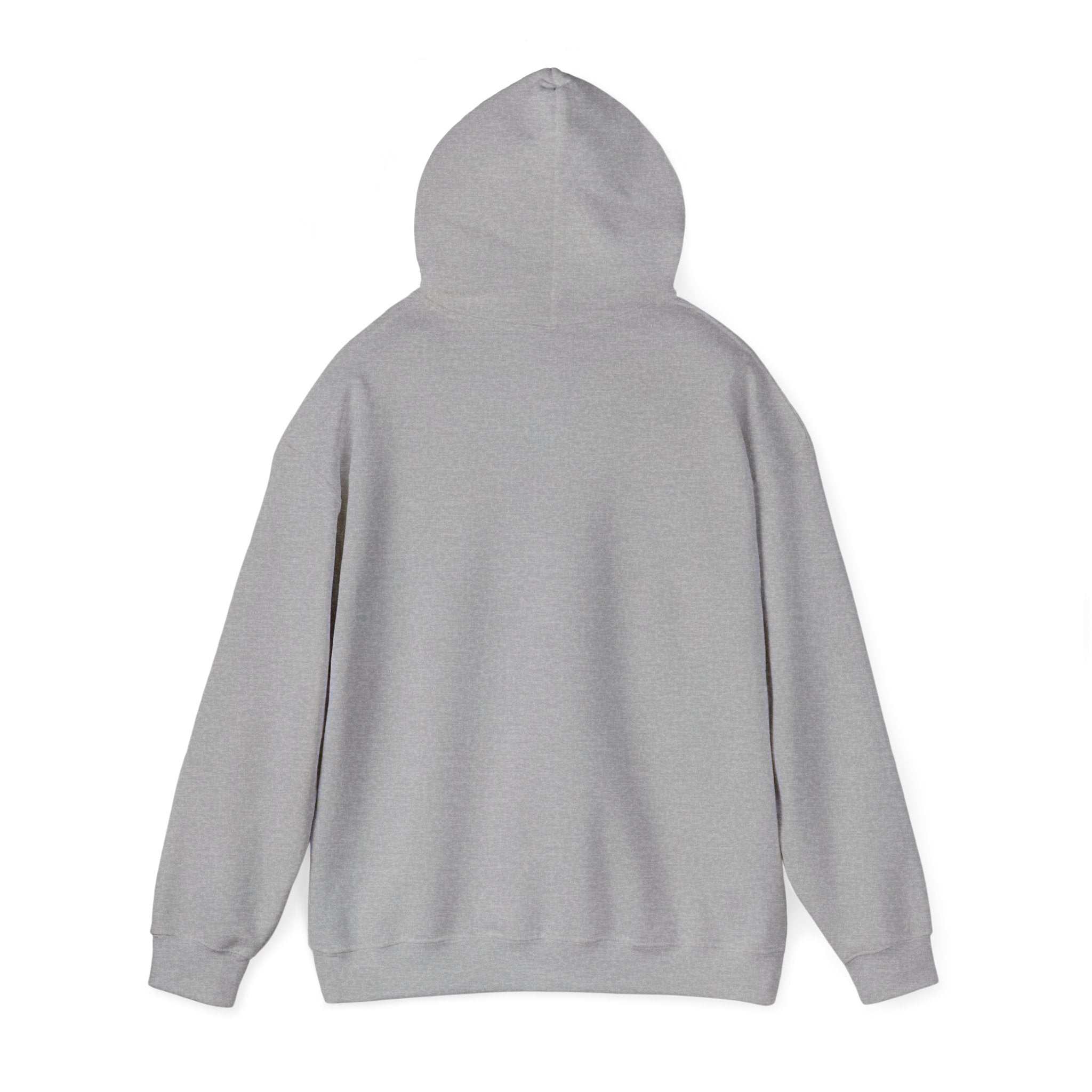 I Could Be Meaner Hoodie — Playful Pink & Blue Graphic Pullover