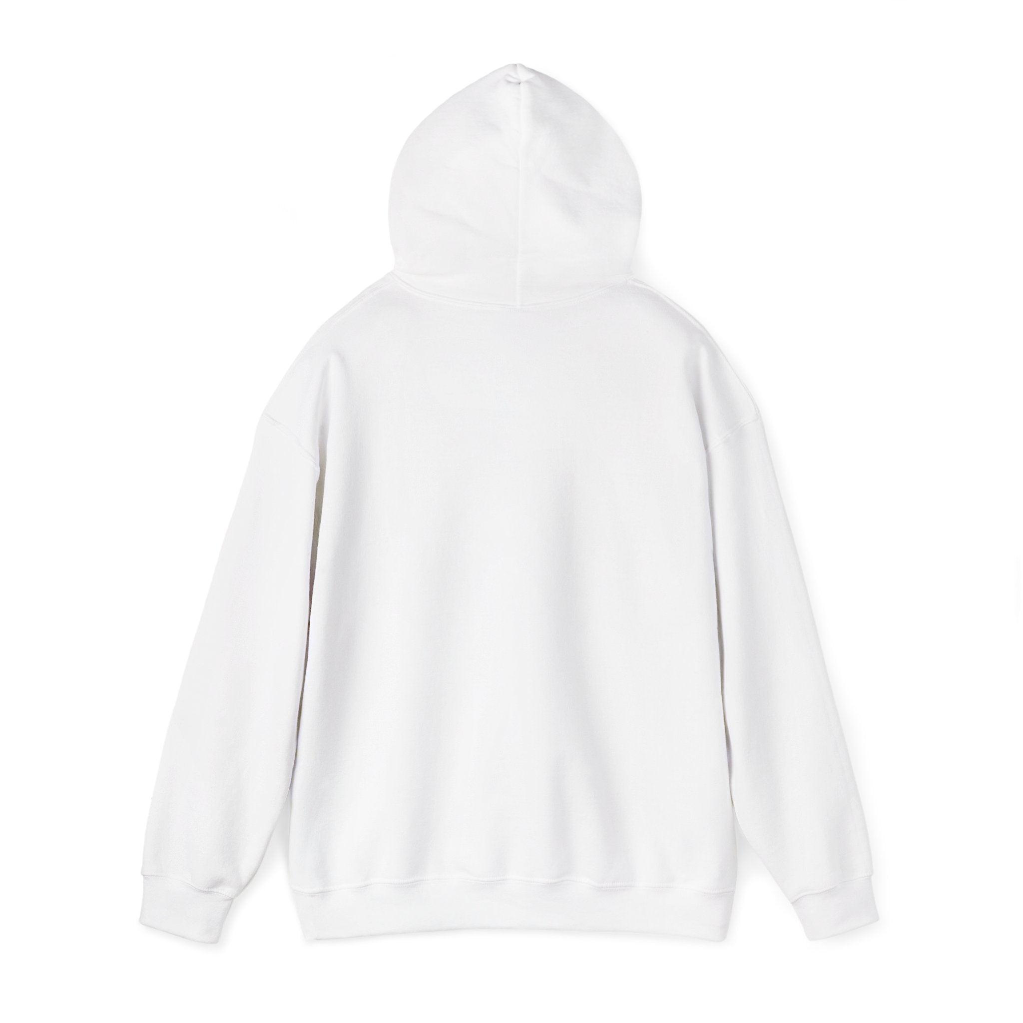 I Could Be Meaner Hoodie — Playful Pink & Blue Graphic Pullover